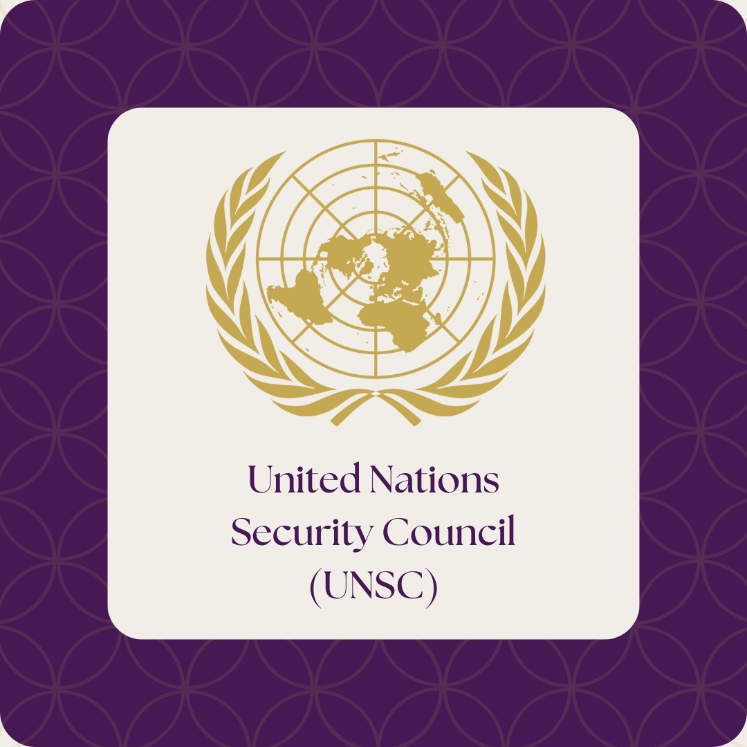 UN Security Council