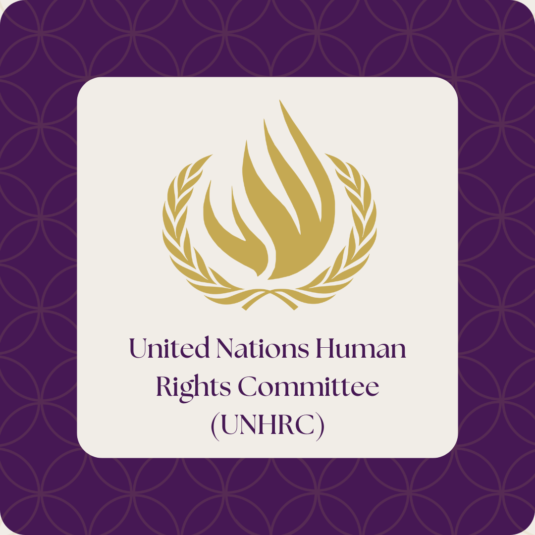 United Nations Human Rights Committee